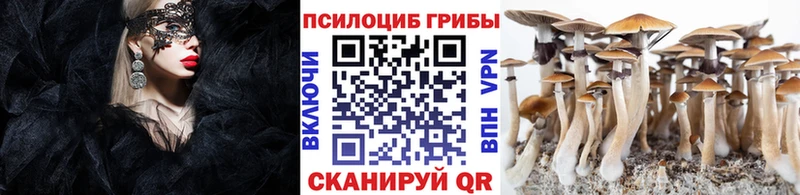 Псилоцибиновые грибы мухоморы  Черноголовка 